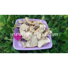 Wild Dried Porcino Mushroom